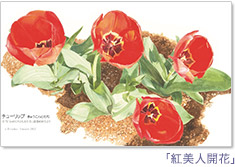 �u�g���l�J�ԁv