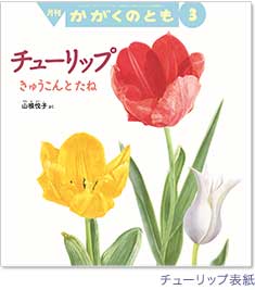 �u�`���[���b�v�\���v